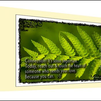 6 Note Cards & Envelopes