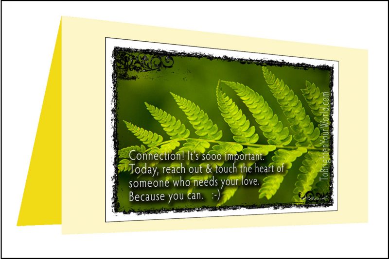 6 Note Cards & Envelopes